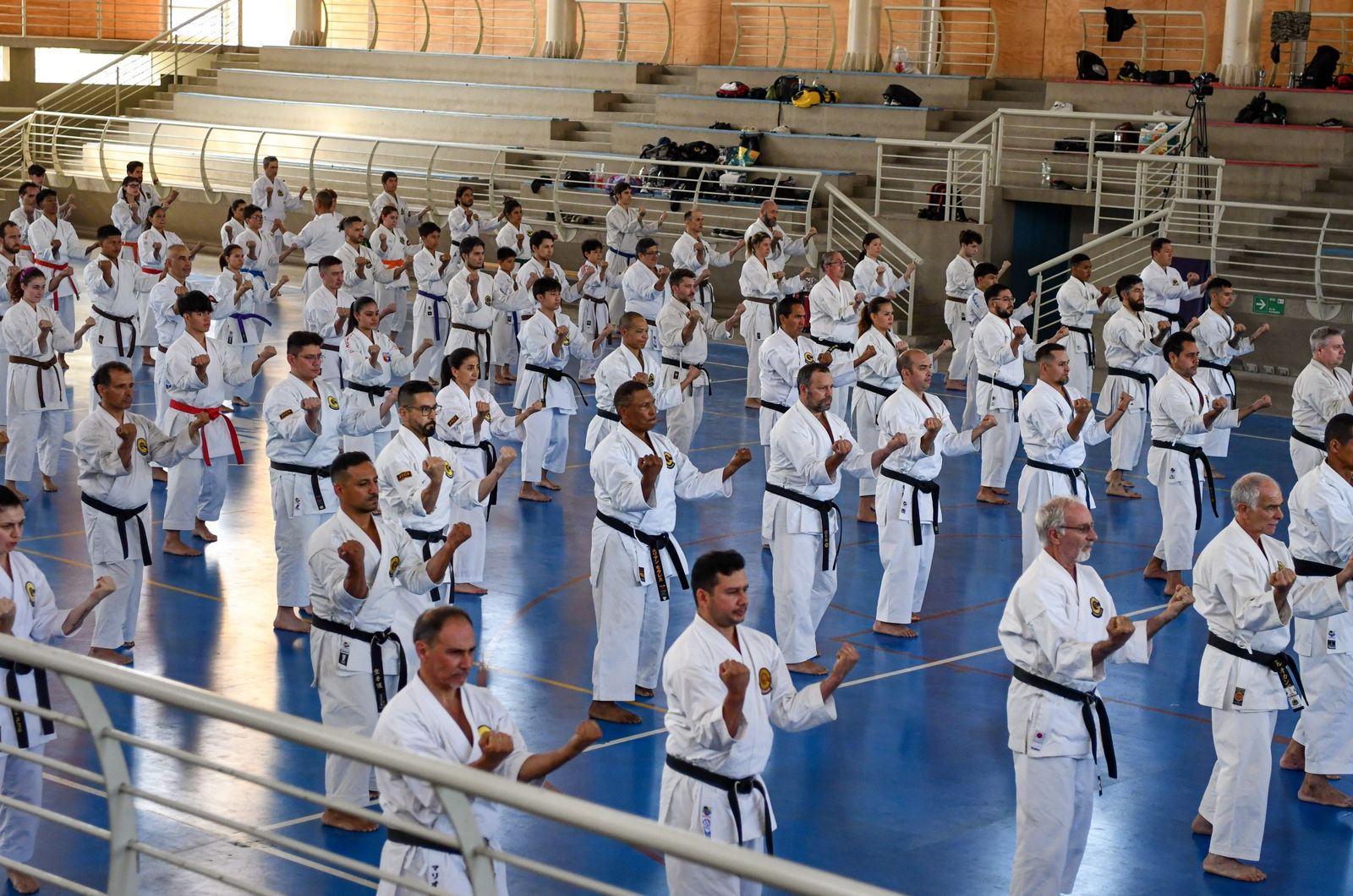 Práctica de kihon con todos los participantes